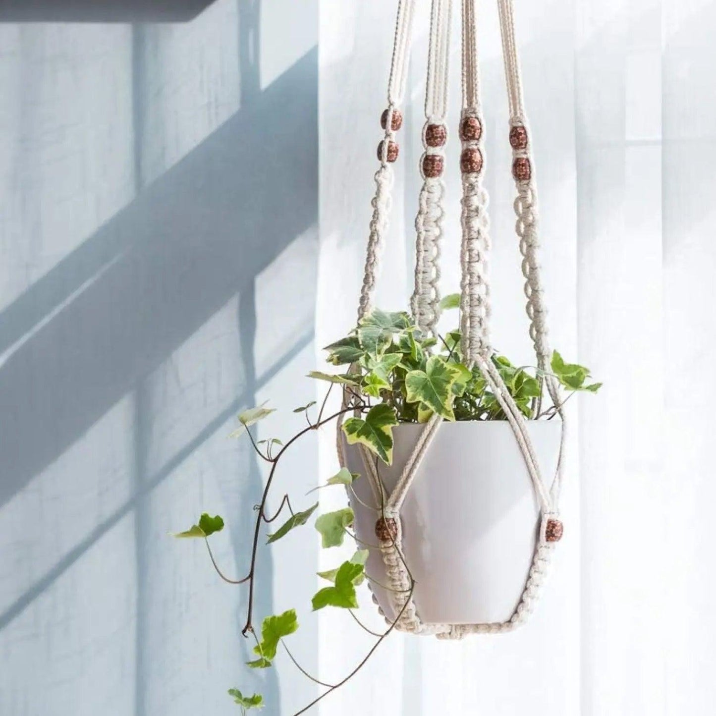 Macrame - Plant Hangers