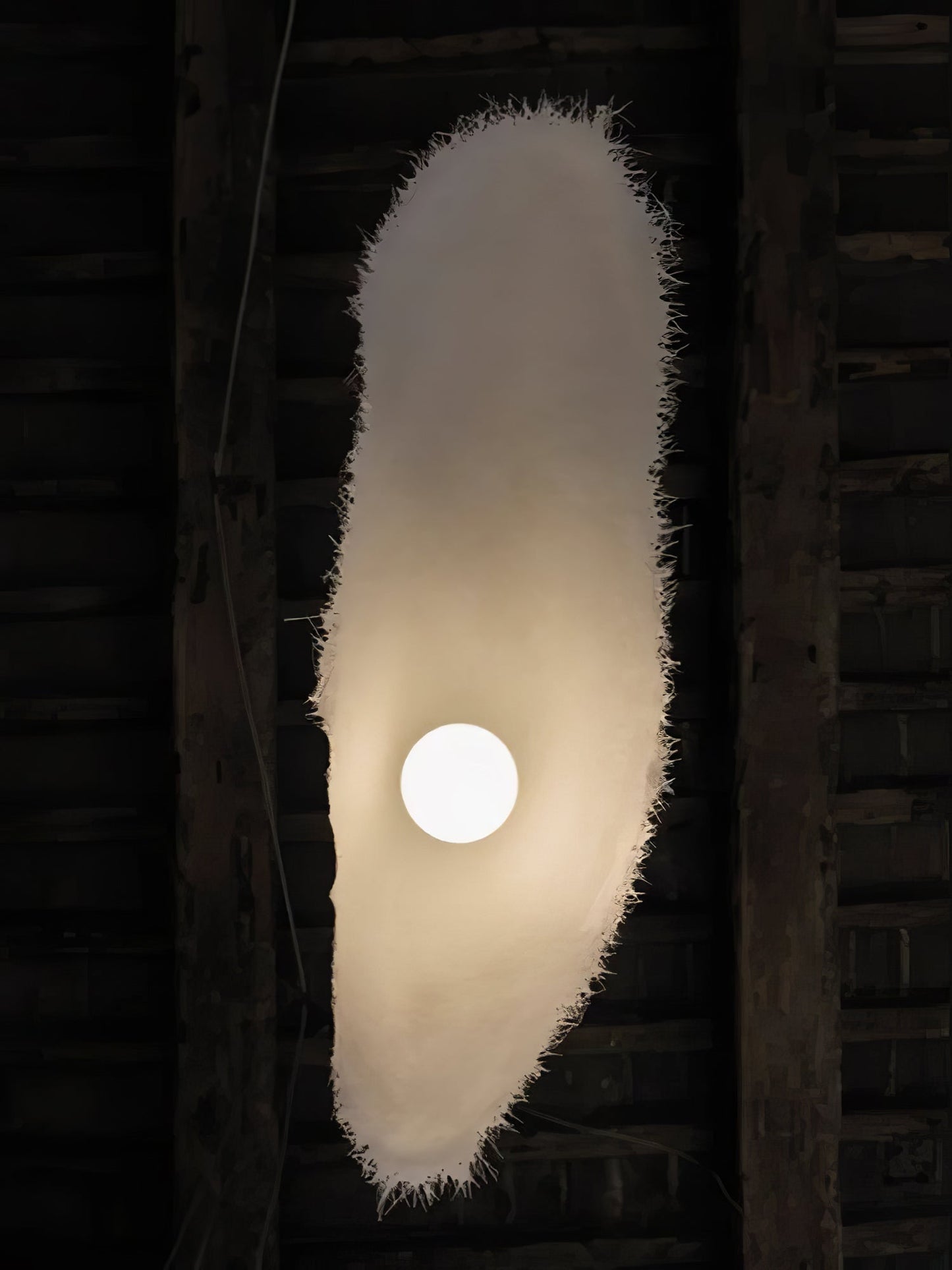 Moby Dick Pendant Light Fixture