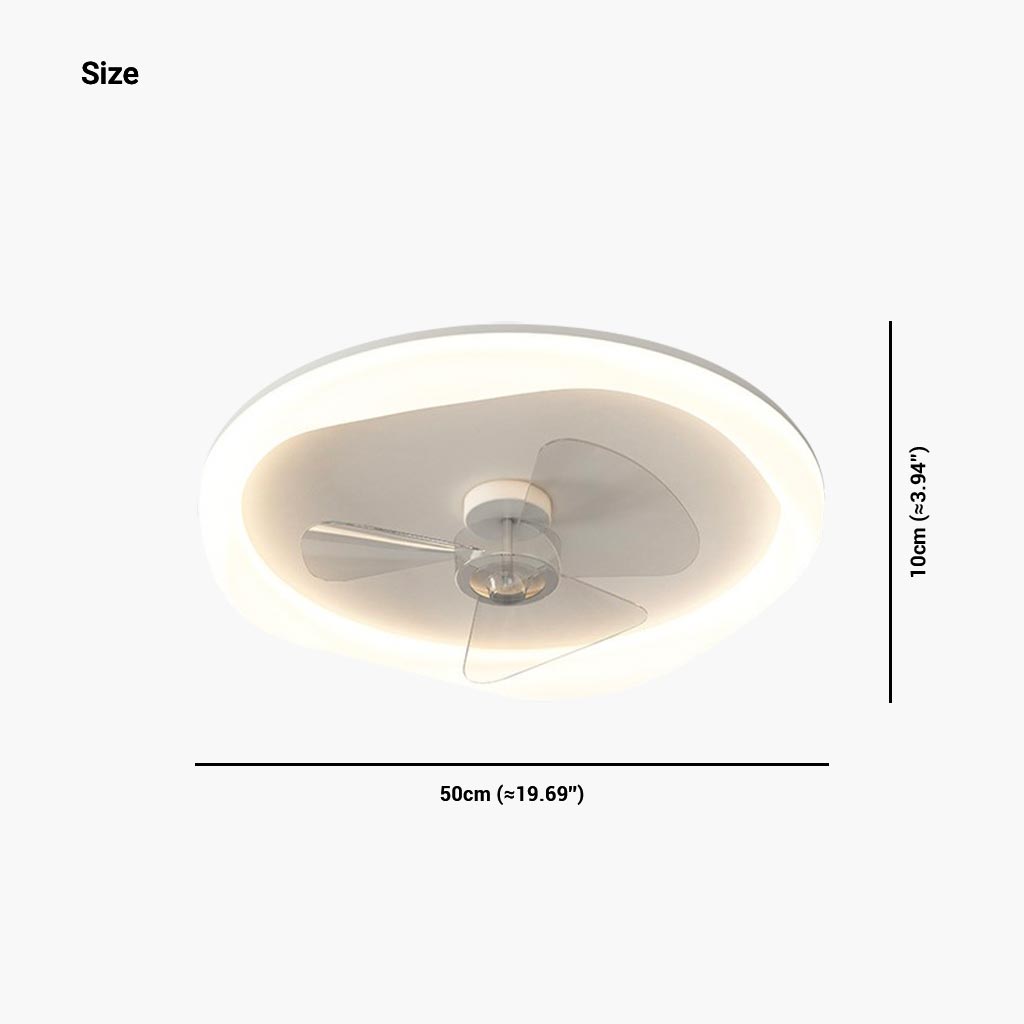 Modern Ceiling Fan with Light