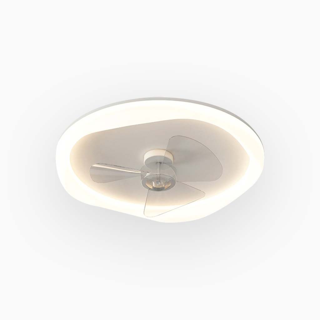 Modern Ceiling Fan with Light