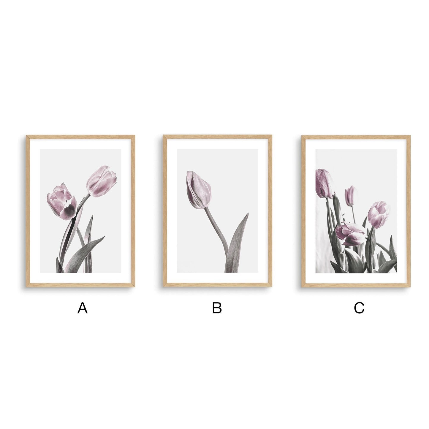 Pale Pink Tulips - Nordic Side - 