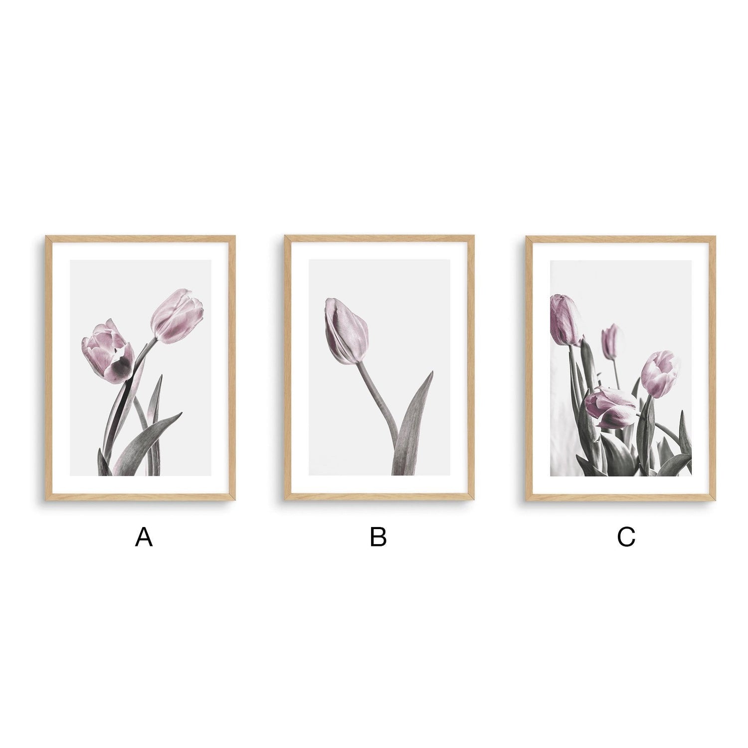 Pale Pink Tulips - Nordic Side - 