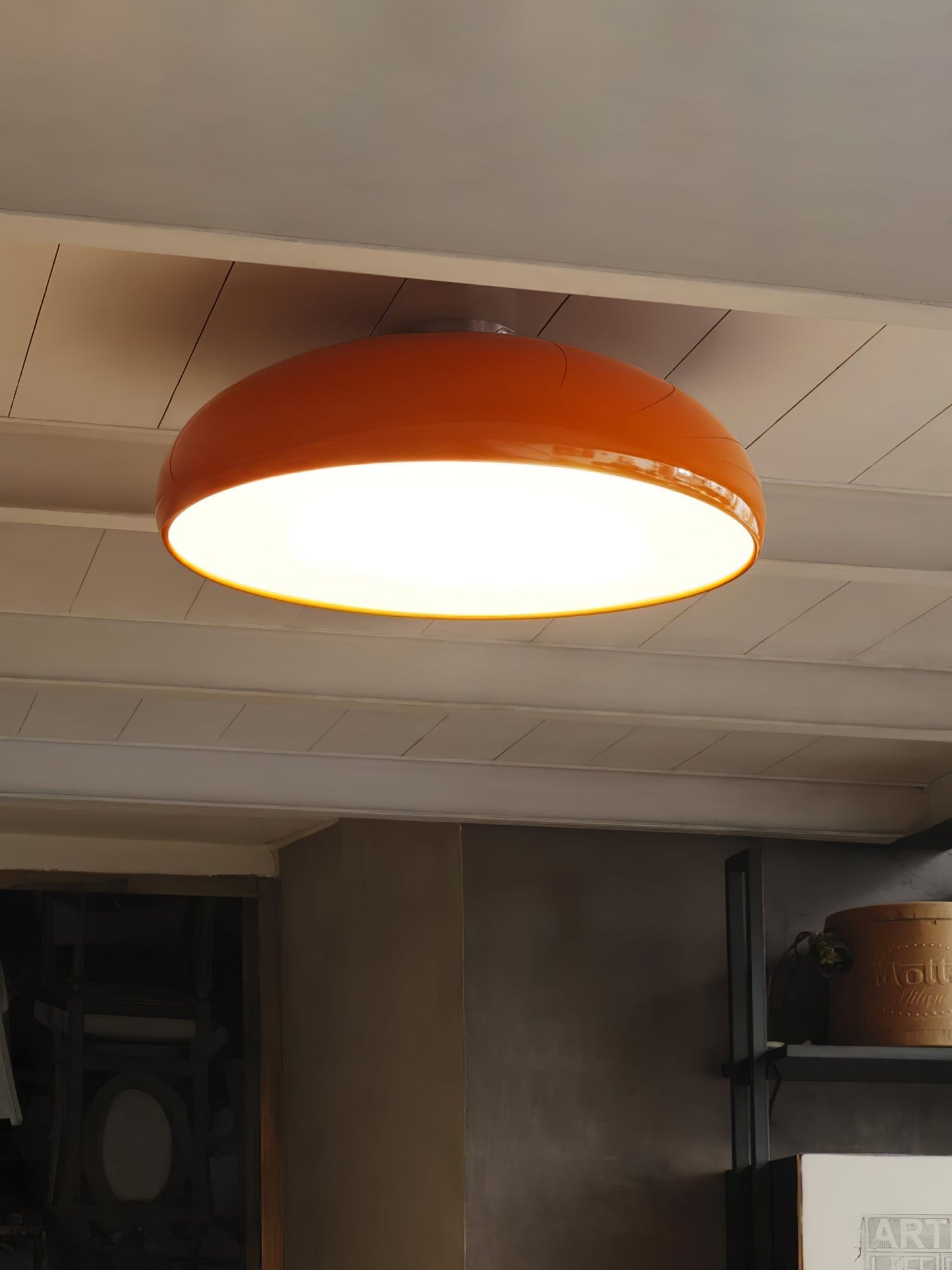 Pangen Modern Ceiling Lamp