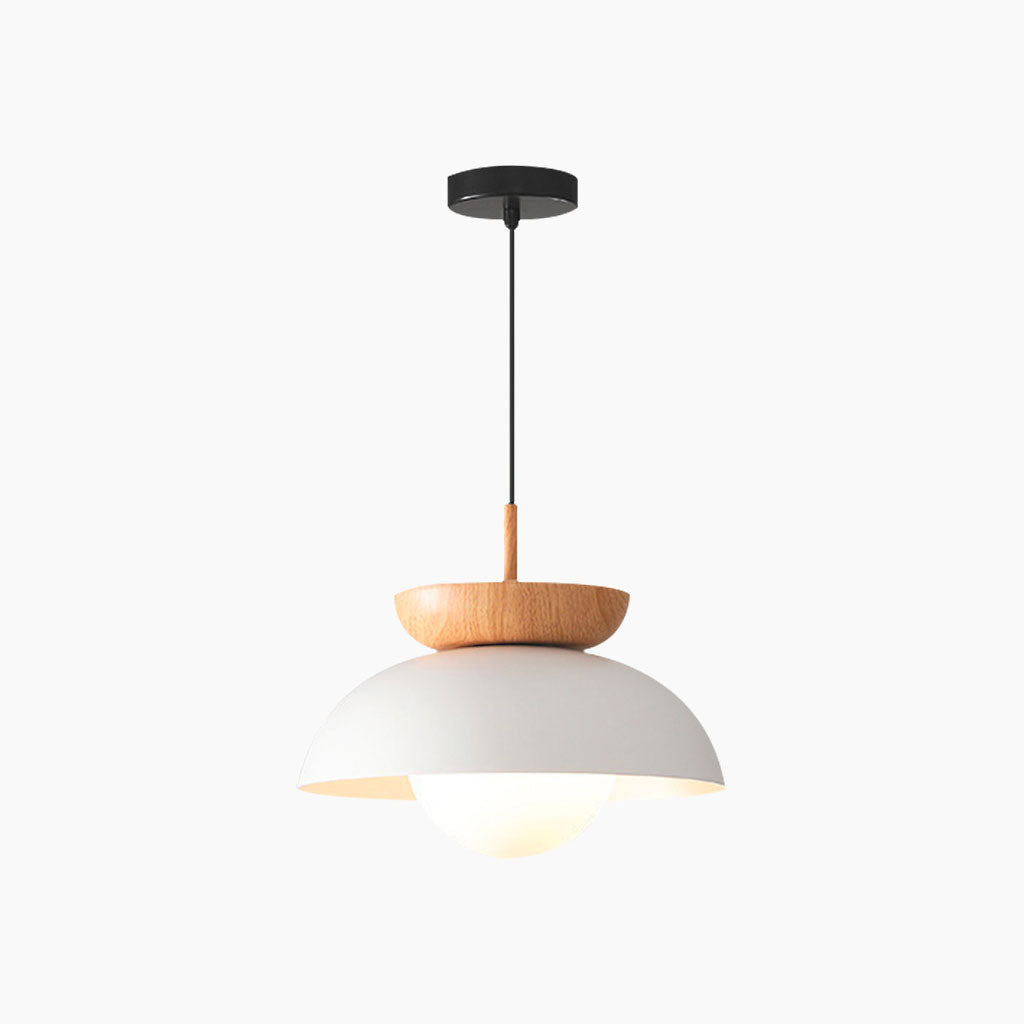 Pendant Minimalist Iron Dome Light