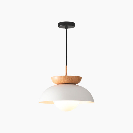 Pendant Minimalist Iron Dome Light