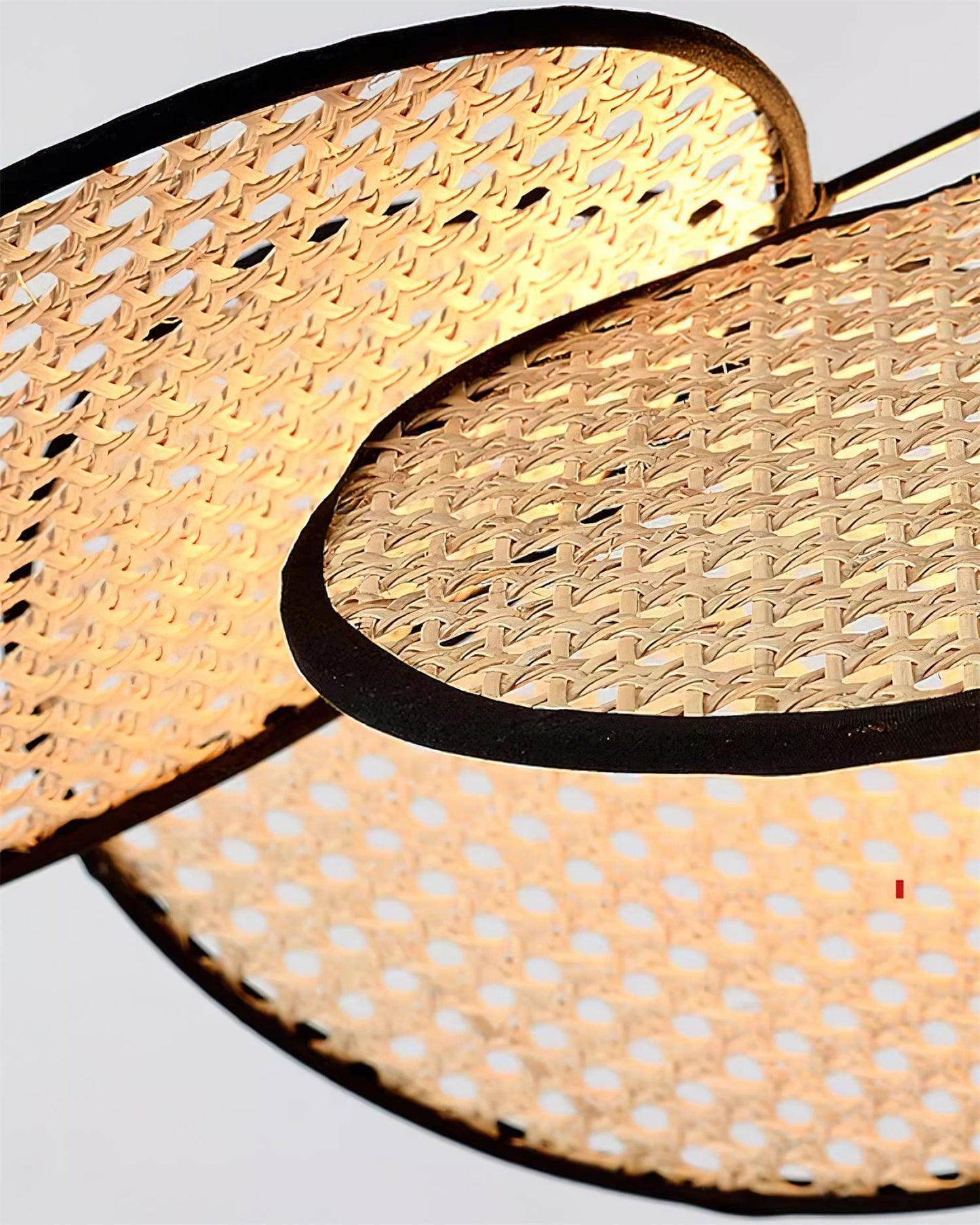 Petals Rattan Pendant Light