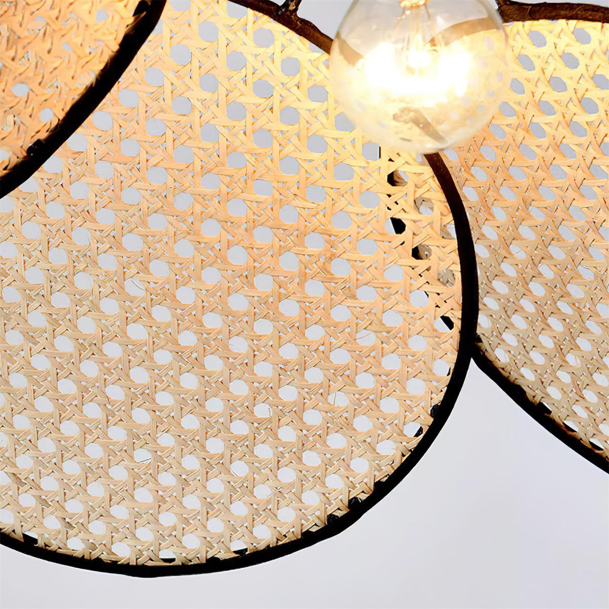 Petals Rattan Pendant Light
