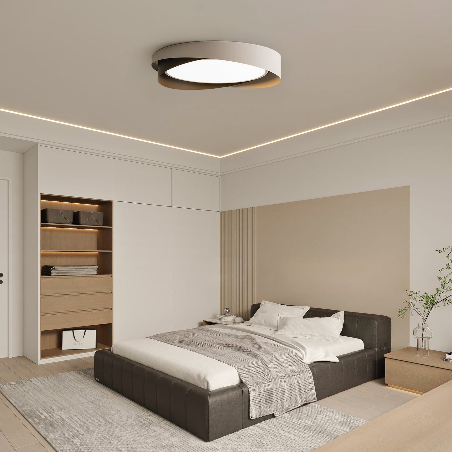 Quinn Modern Ceiling Light