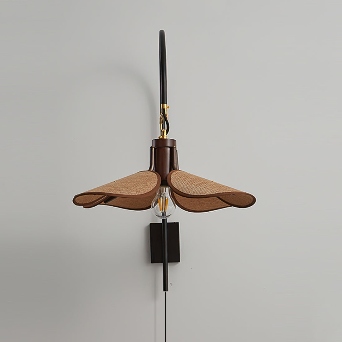Riankh Plug In Wall Lamp