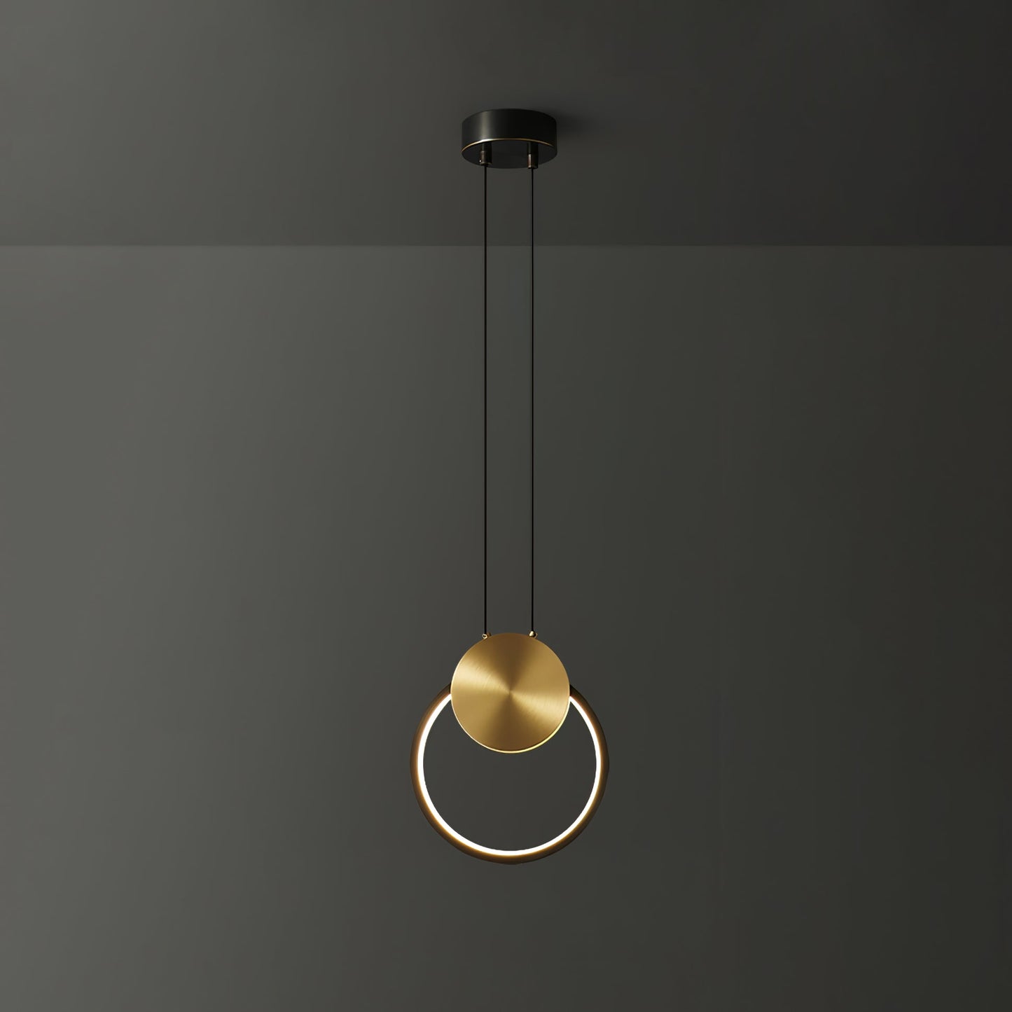 Ring Hanging Pendant Light