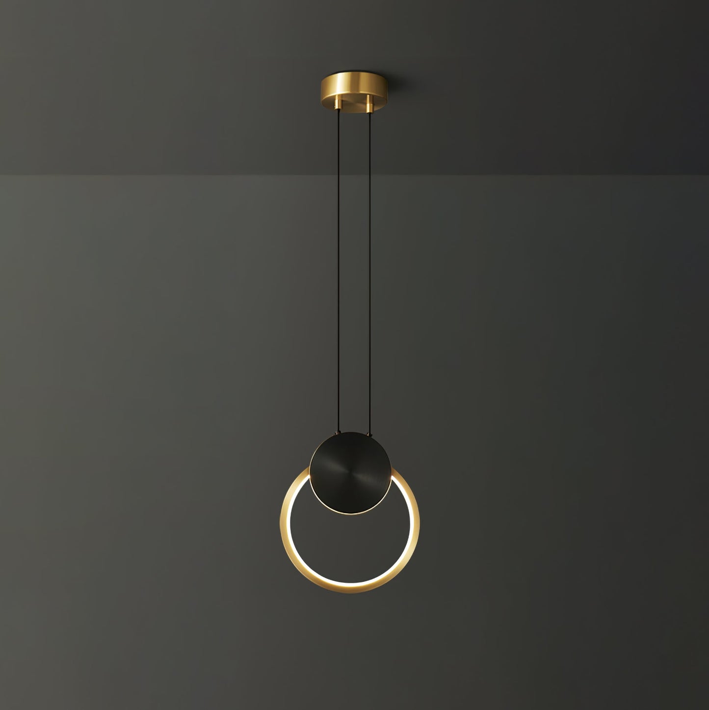 Ring Hanging Pendant Light