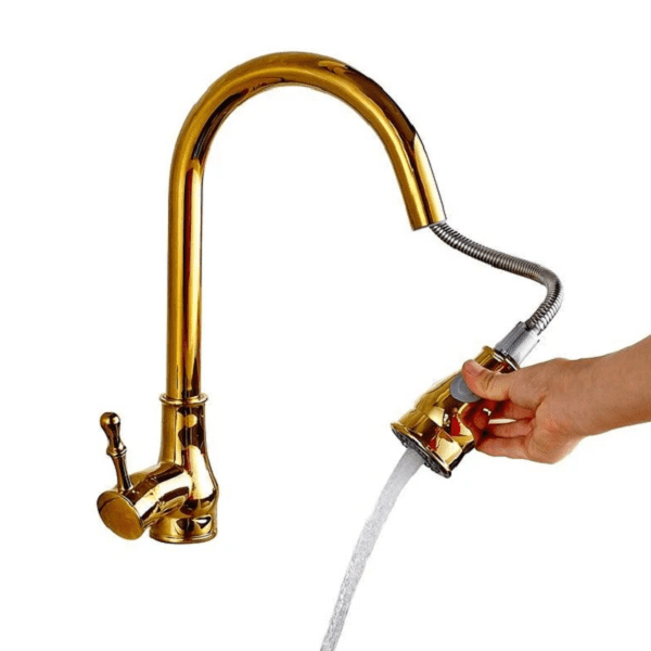 Giotto - Pull Down Kitchen Faucet