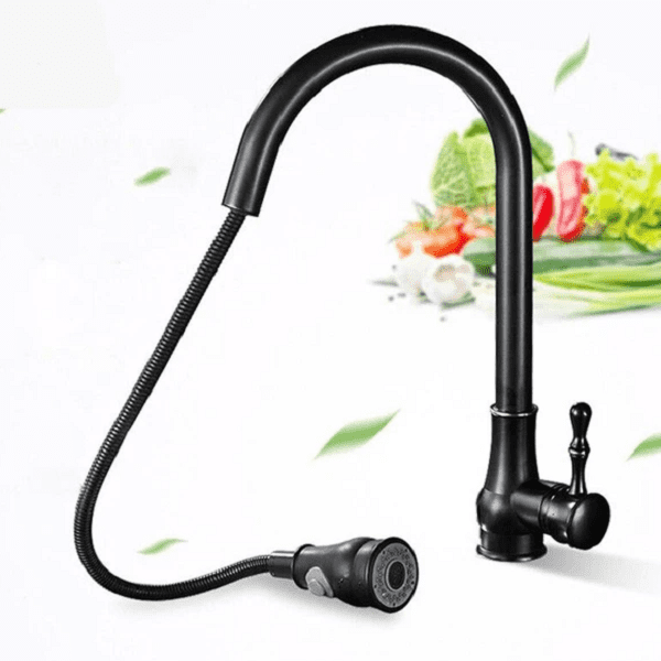 Giotto - Pull Down Kitchen Faucet