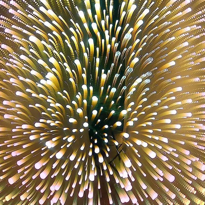 Rona Modern Glass Pendant Lights