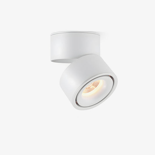 Rotatable Spotlight Ceiling Fixture