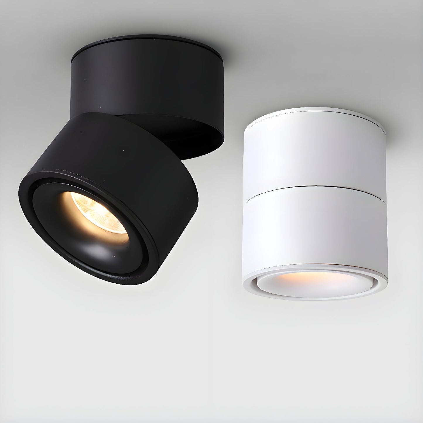 Rotatable Spotlight Ceiling Fixture