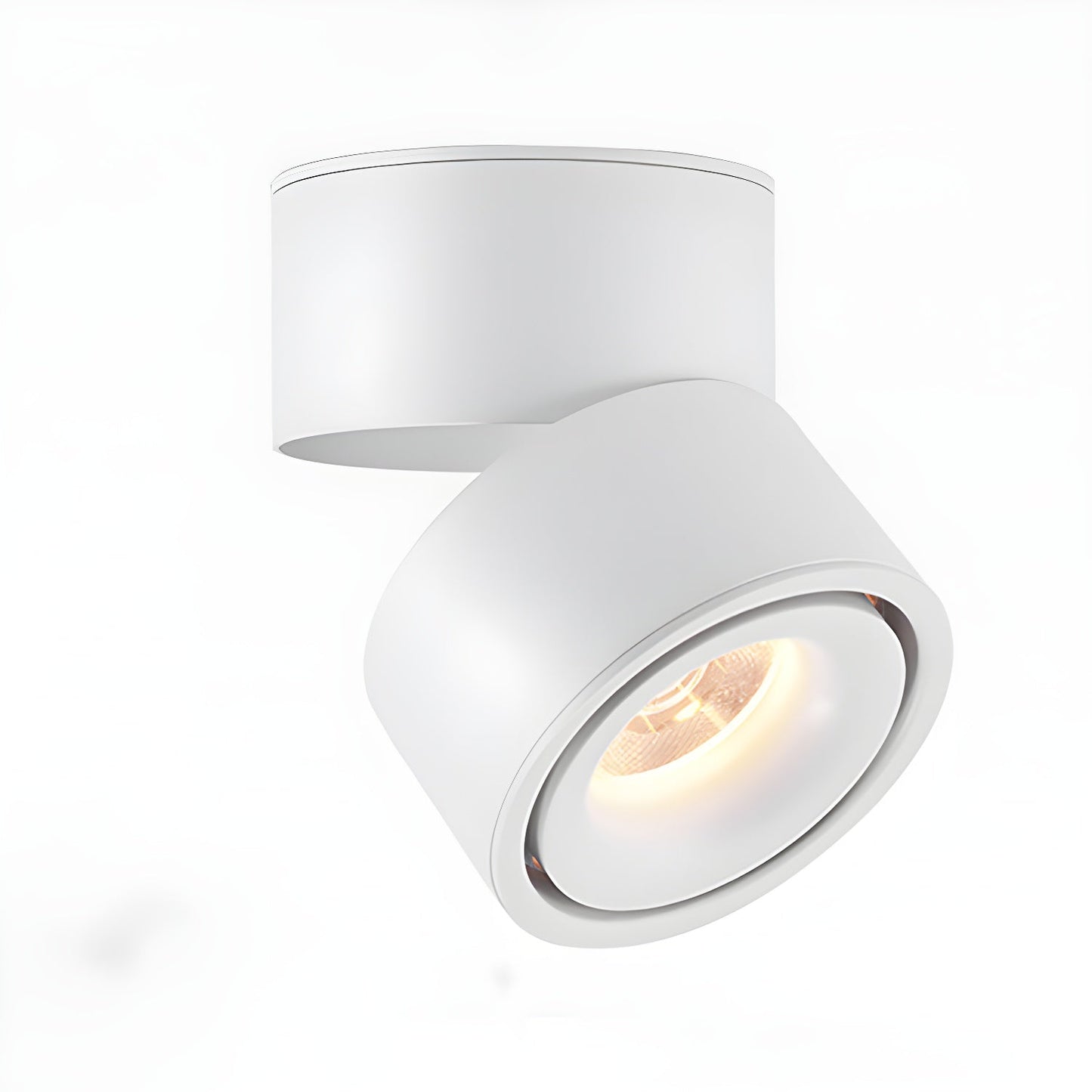 Rotatable Spotlight Ceiling Fixture