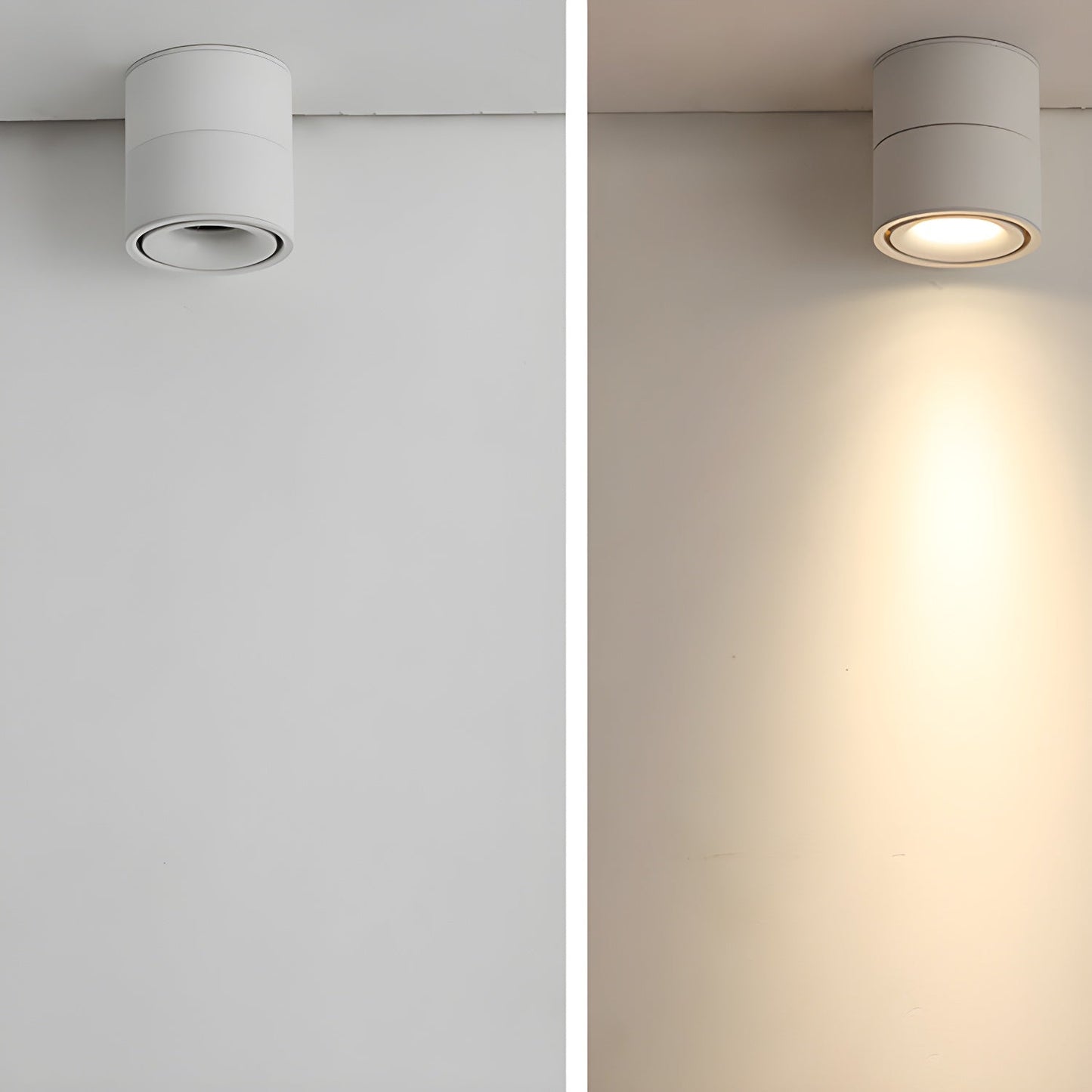 Rotatable Spotlight Ceiling Fixture