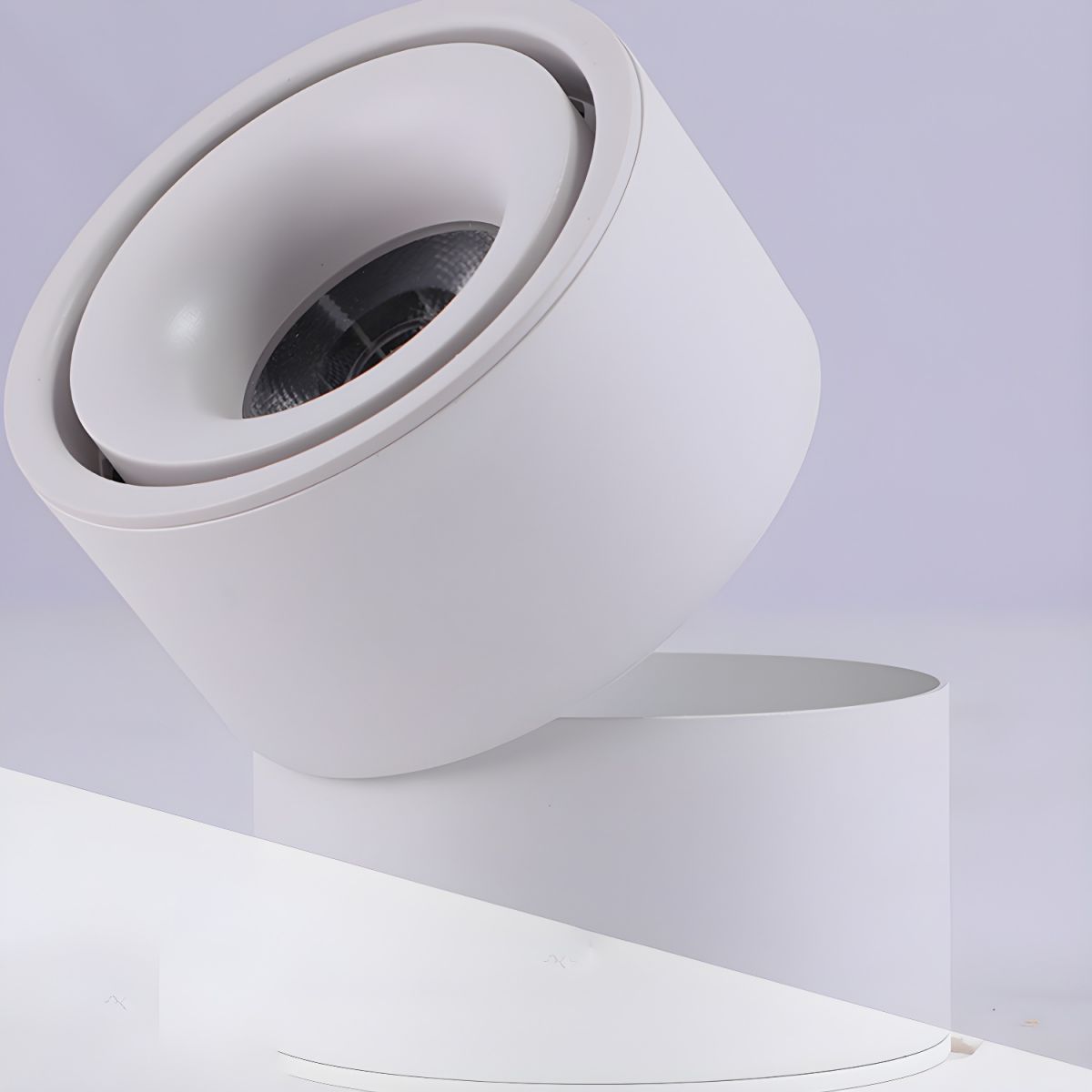 Rotatable Spotlight Ceiling Fixture