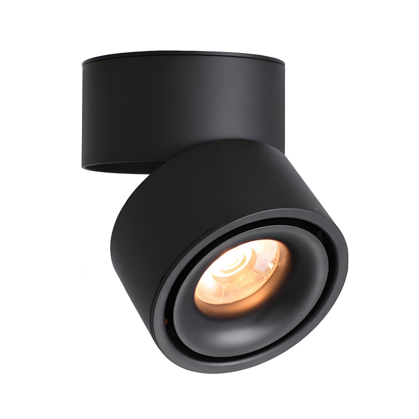 Rotatable Spotlight Ceiling Fixture