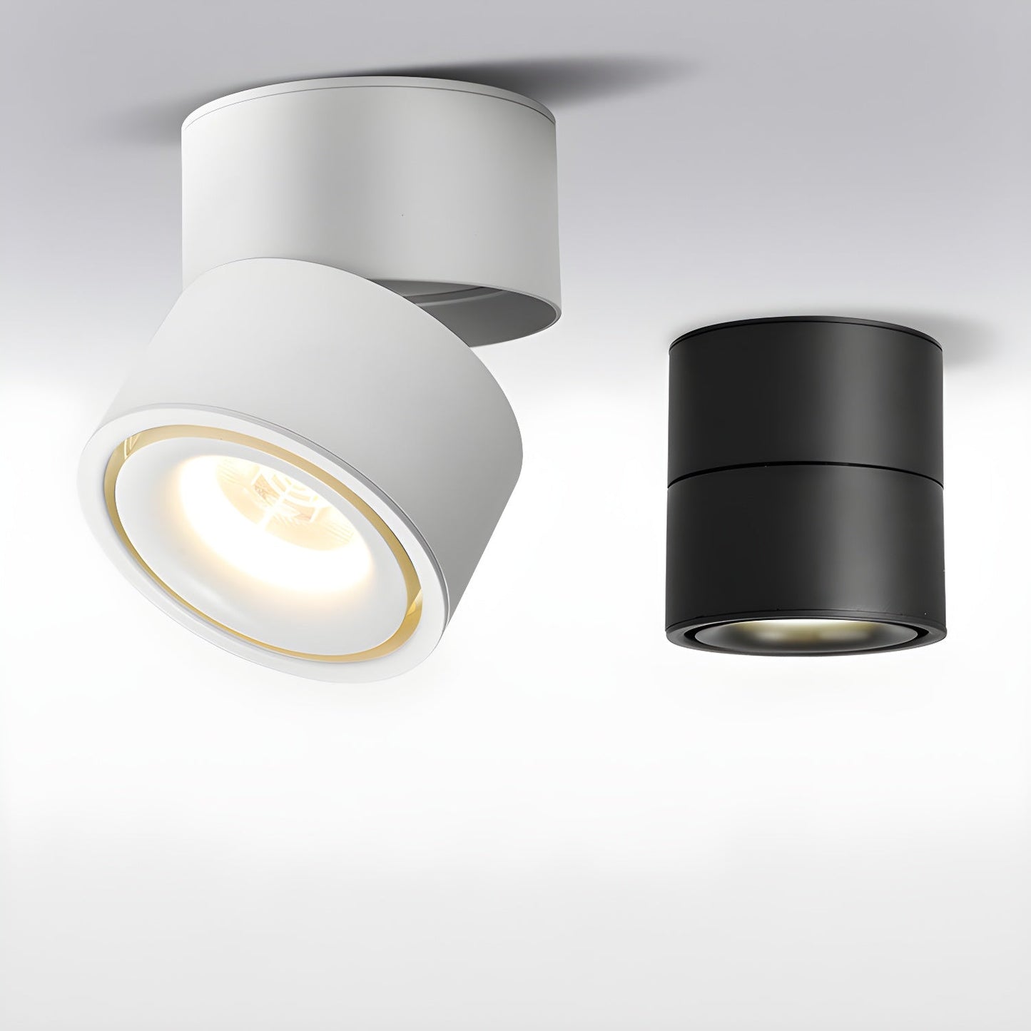 Rotatable Spotlight Ceiling Fixture