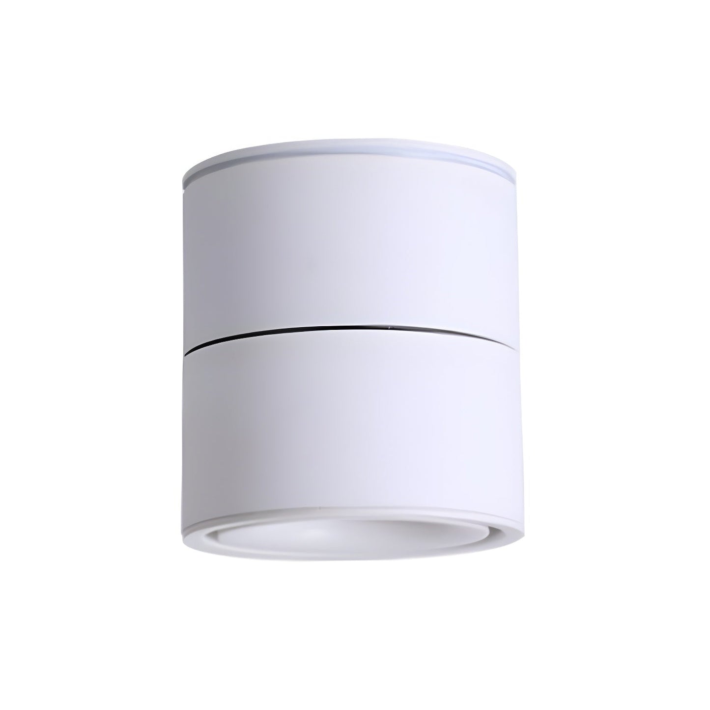 Rotatable Spotlight Ceiling Fixture