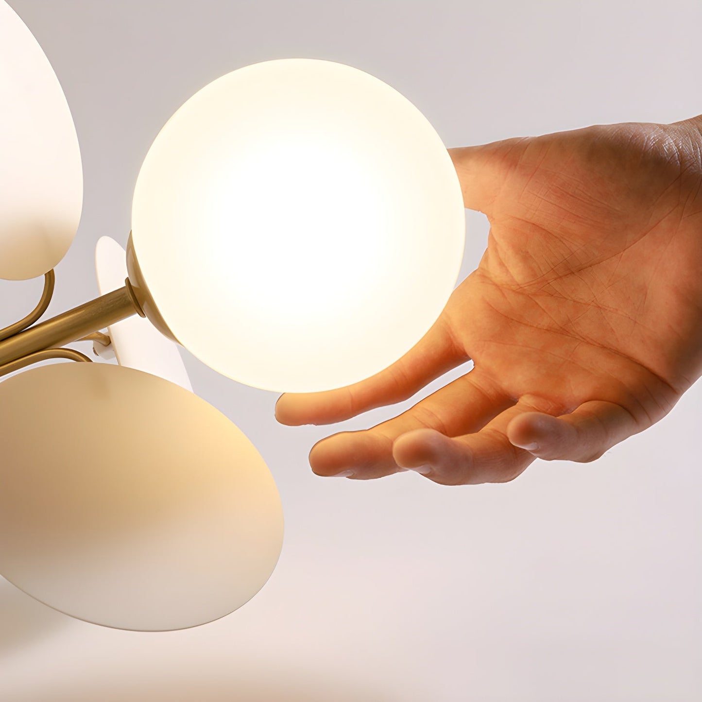 Round Macaron Ceiling Lamp Fixture