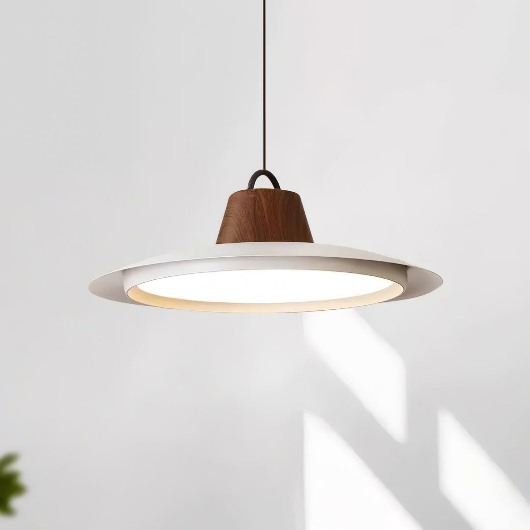 Ruile Modern Pendant Lamp