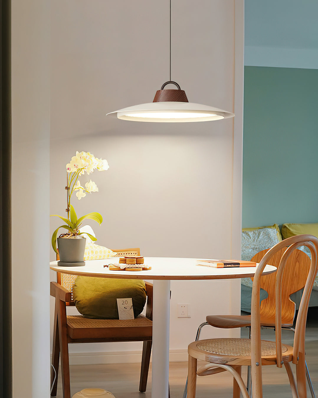 Ruile Modern Pendant Lamp