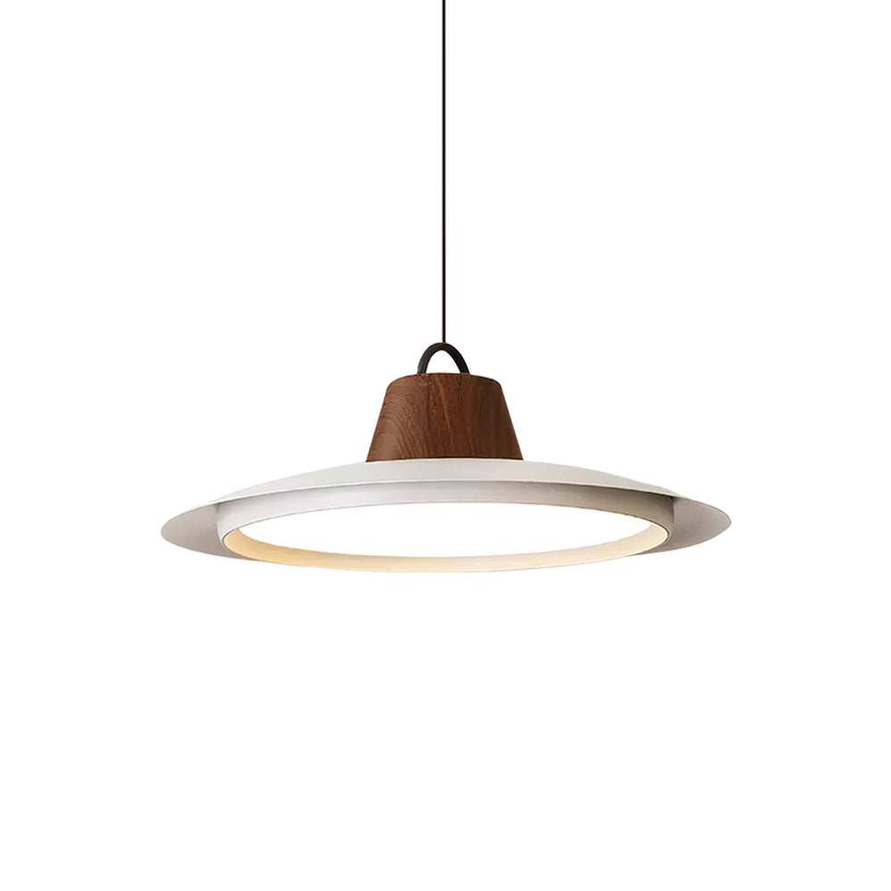 Ruile Modern Pendant Lamp