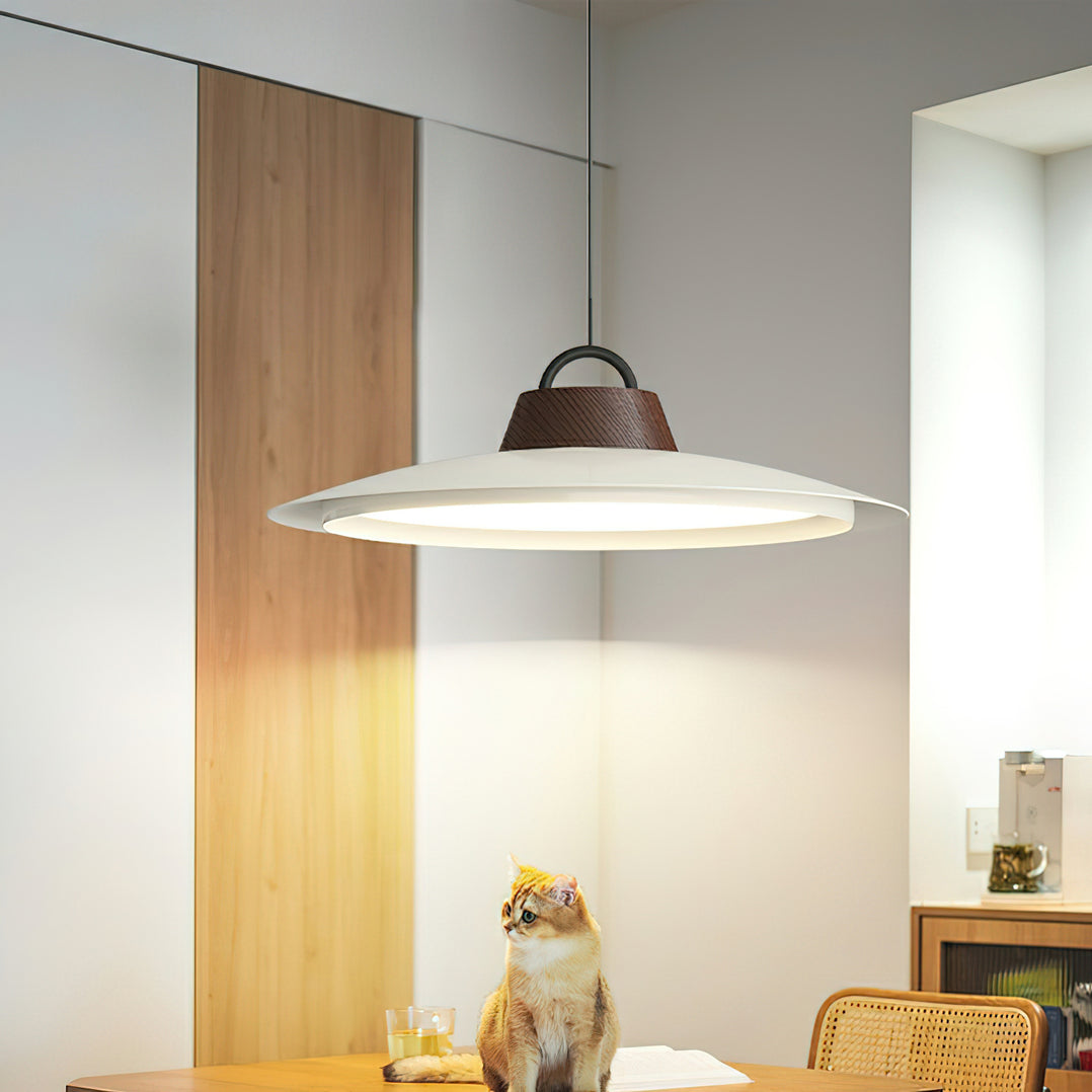 Ruile Modern Pendant Lamp