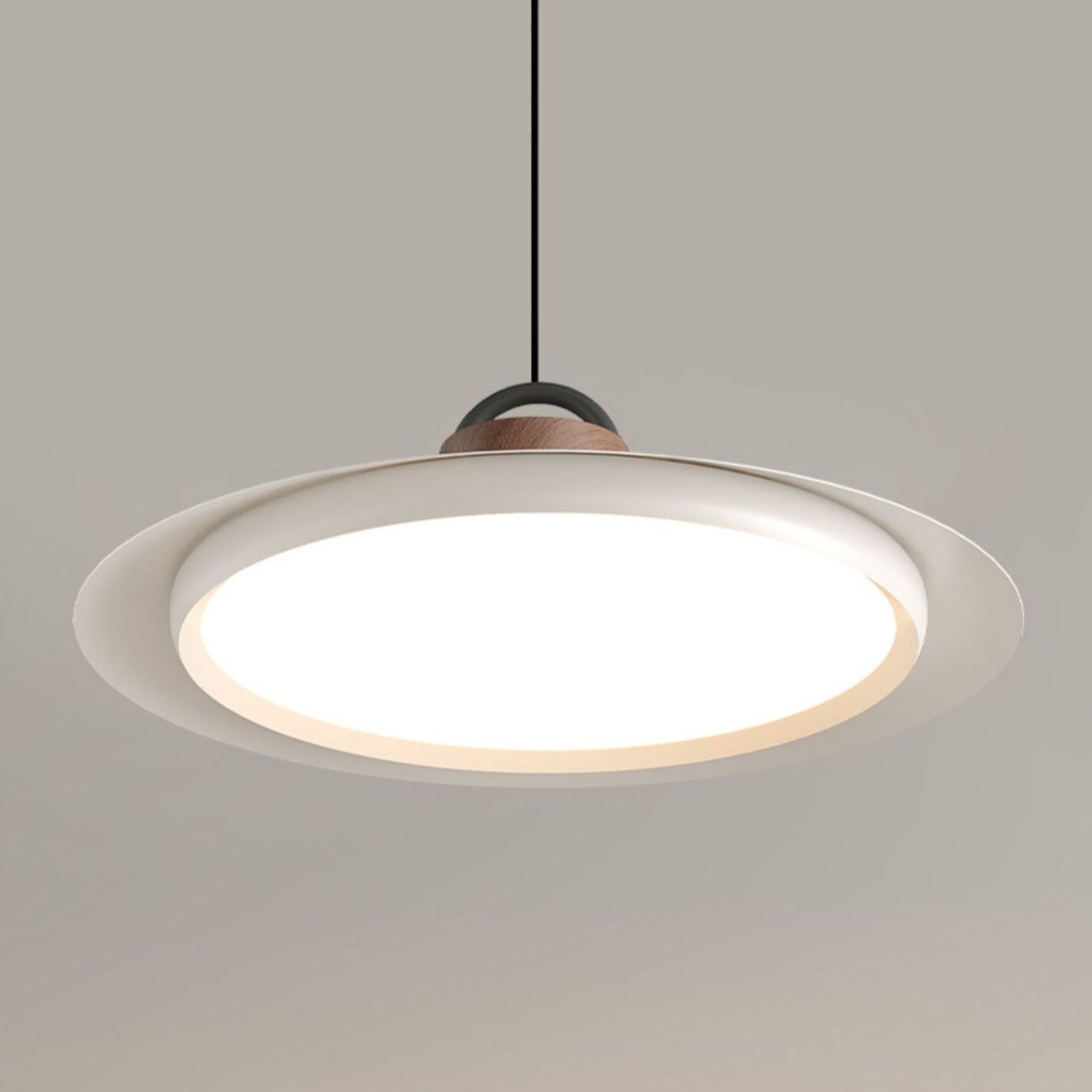 Ruile Modern Pendant Lamp