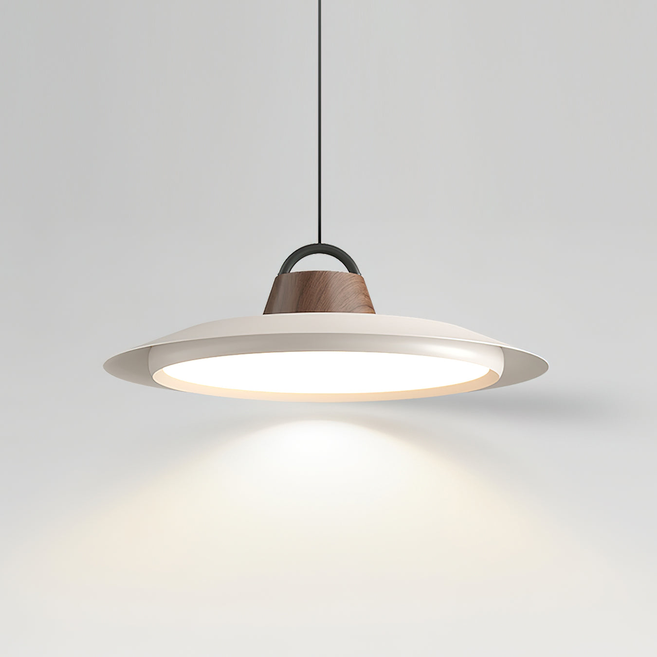 Ruile Modern Pendant Lamp