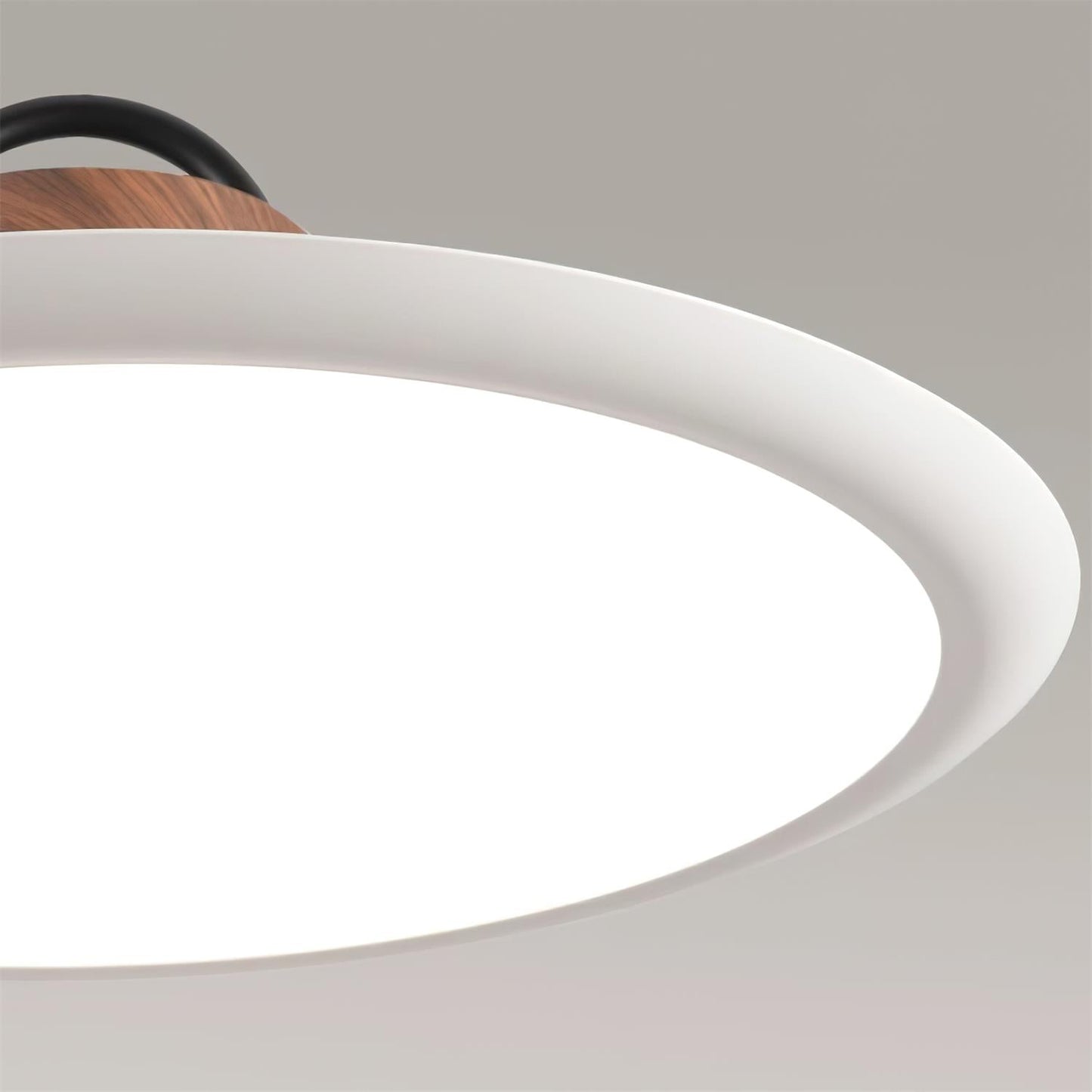 Ruile Modern Pendant Lamp