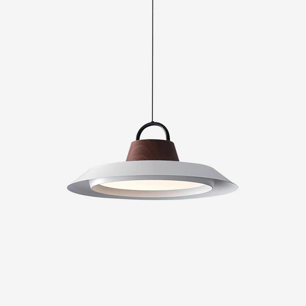 Ruile Modern Pendant Lamp