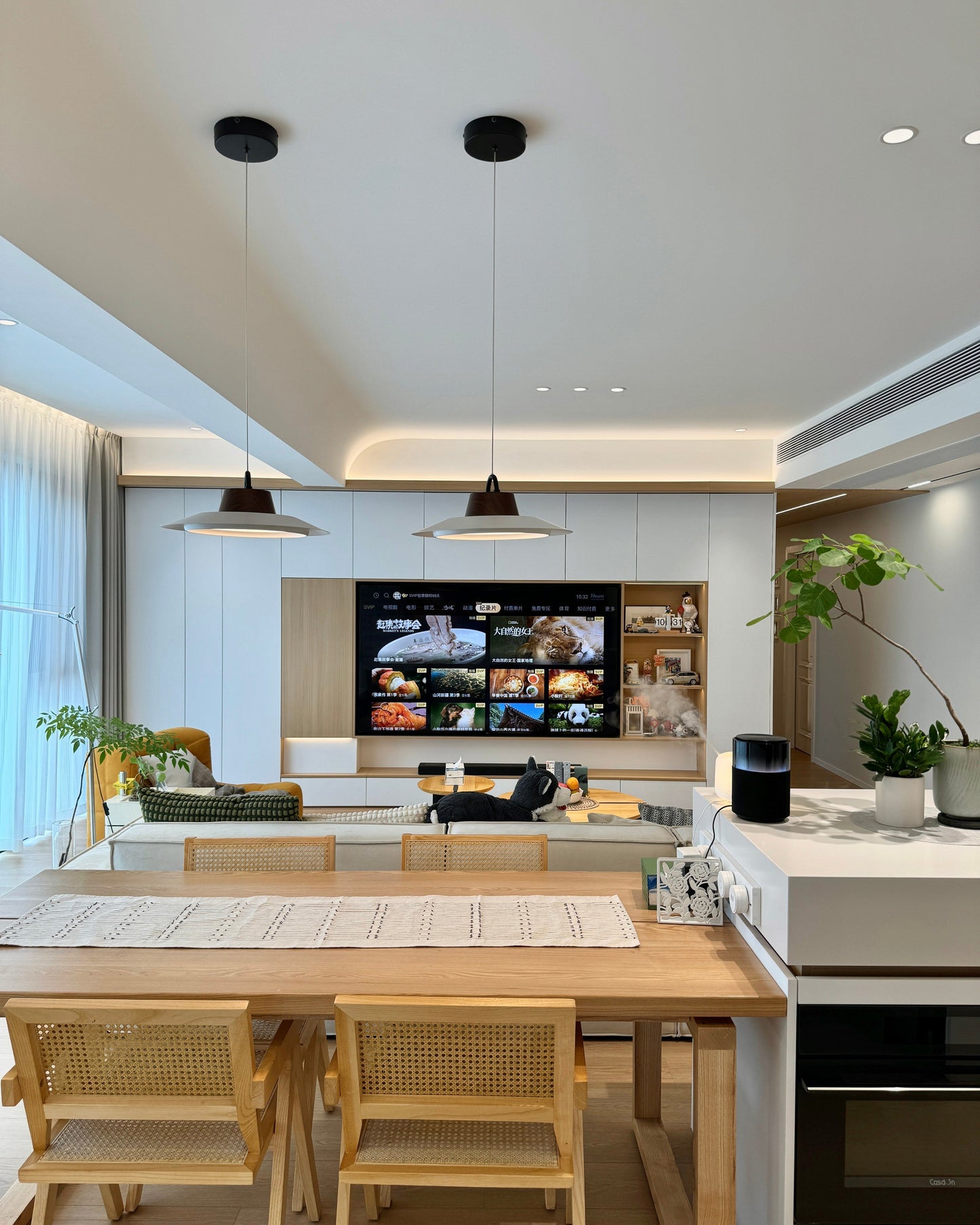 Ruile Modern Pendant Lamp