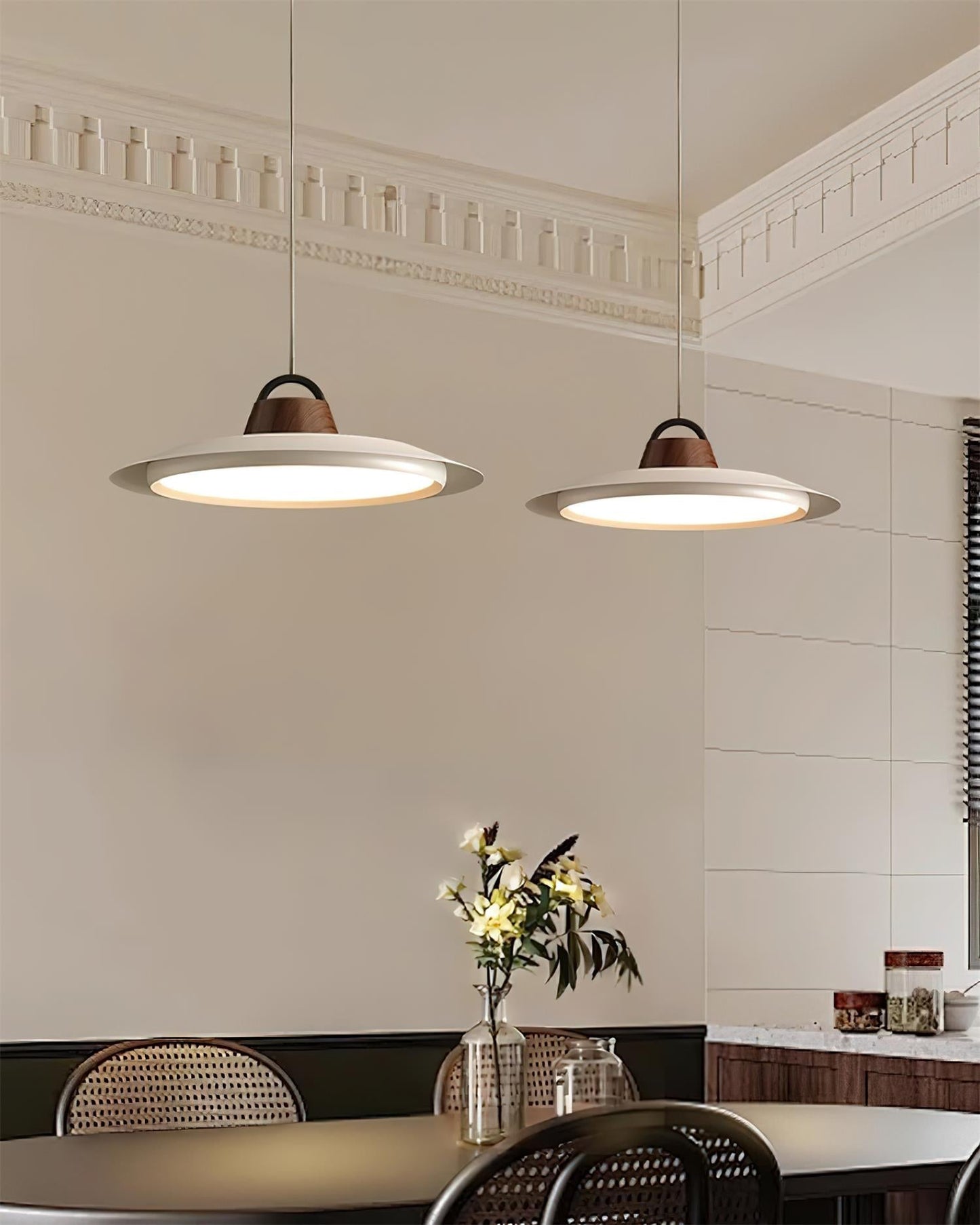 Ruile Modern Pendant Lamp