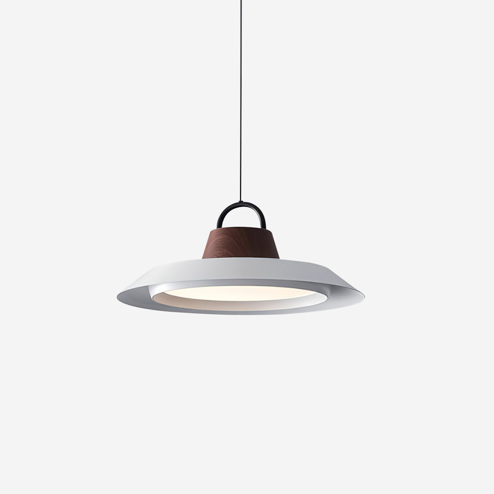 Ruile Modern Pendant Lamp