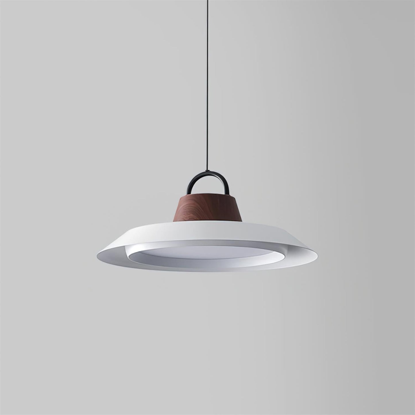 Ruile Modern Pendant Lamp