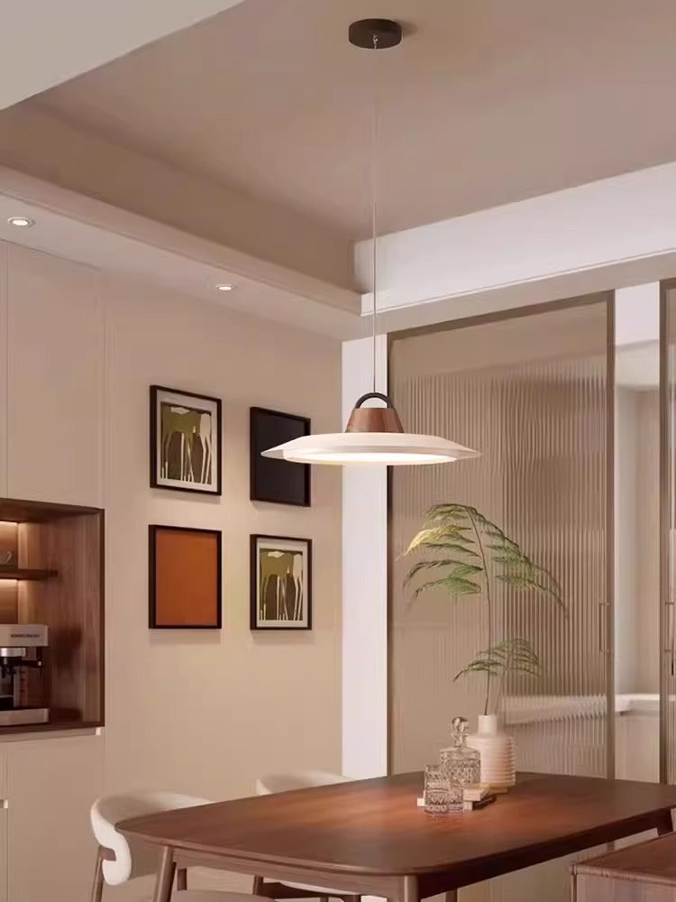 Ruile Modern Pendant Lamp