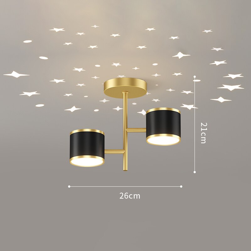 LYF Dymphna Modern LED Ceiling Lamps
