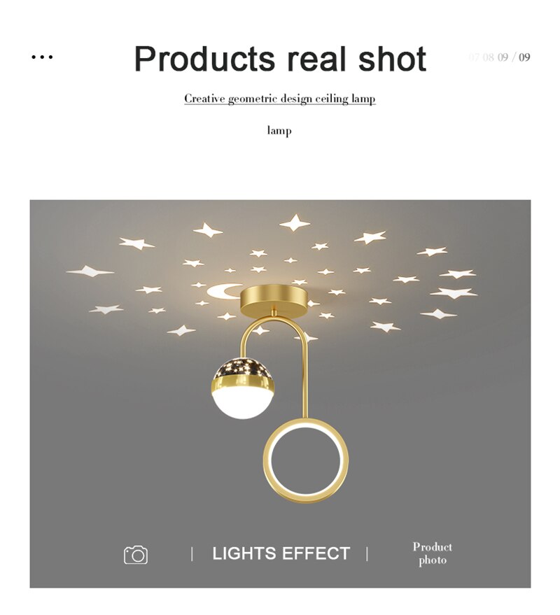 LYF Dymphna Modern LED Ceiling Lamps