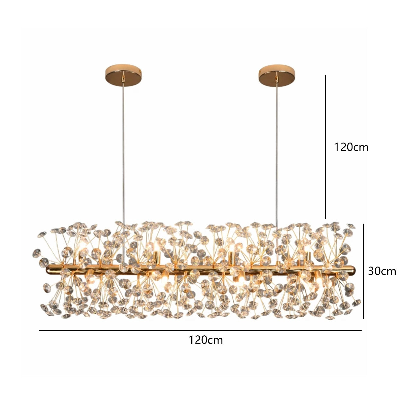 OLGA Artistical Firework Wall/Pendant/Ceiling/Table/Floor Lights