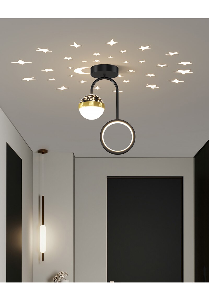 LYF Dymphna Modern LED Ceiling Lamps