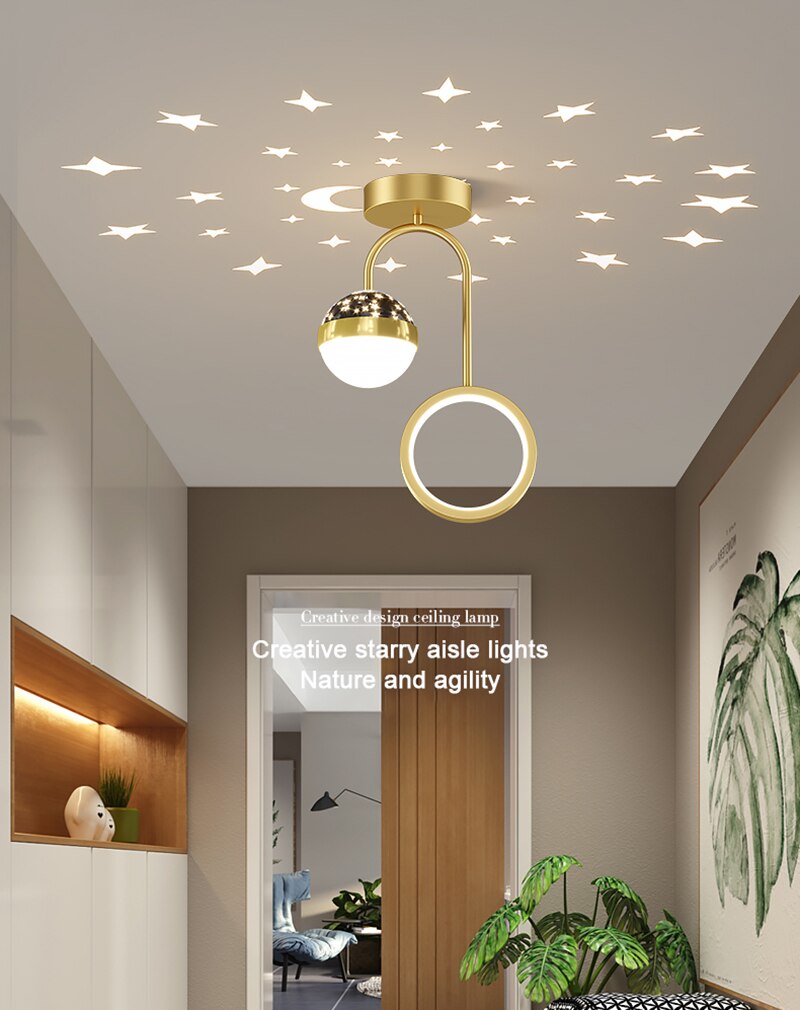 LYF Dymphna Modern LED Ceiling Lamps