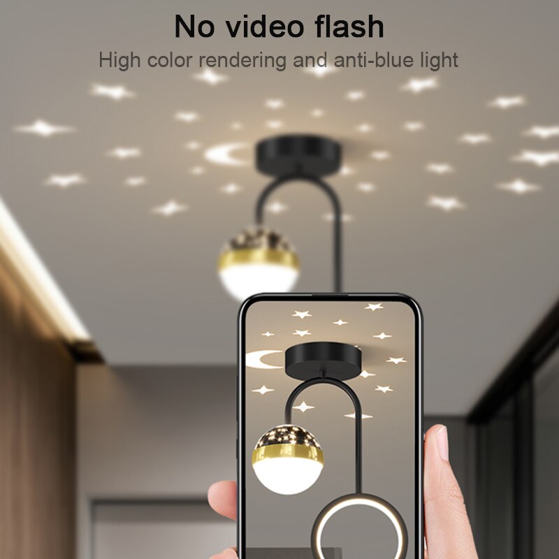 LYF Dymphna Modern LED Ceiling Lamps