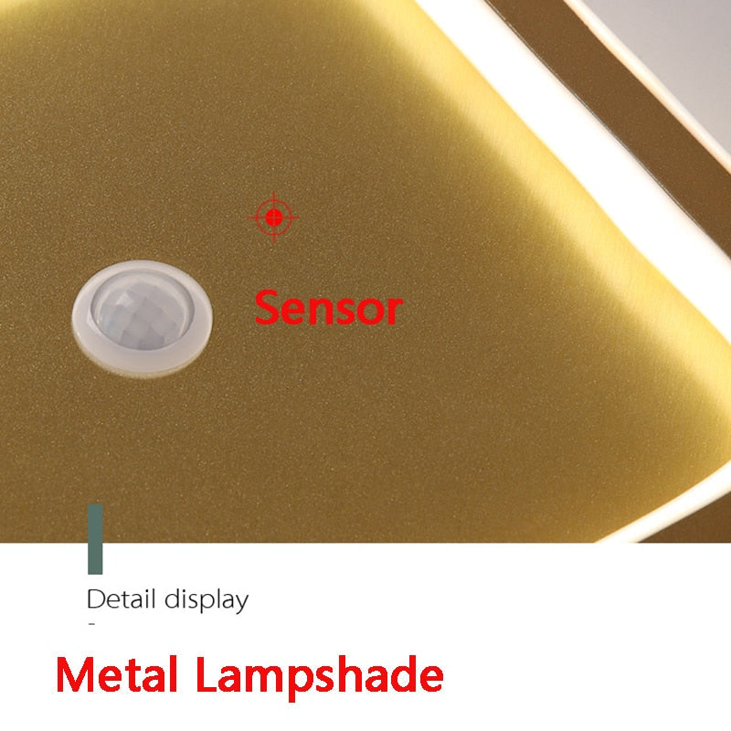 Human PIR Motion Sensor LED Ceiling Lamp