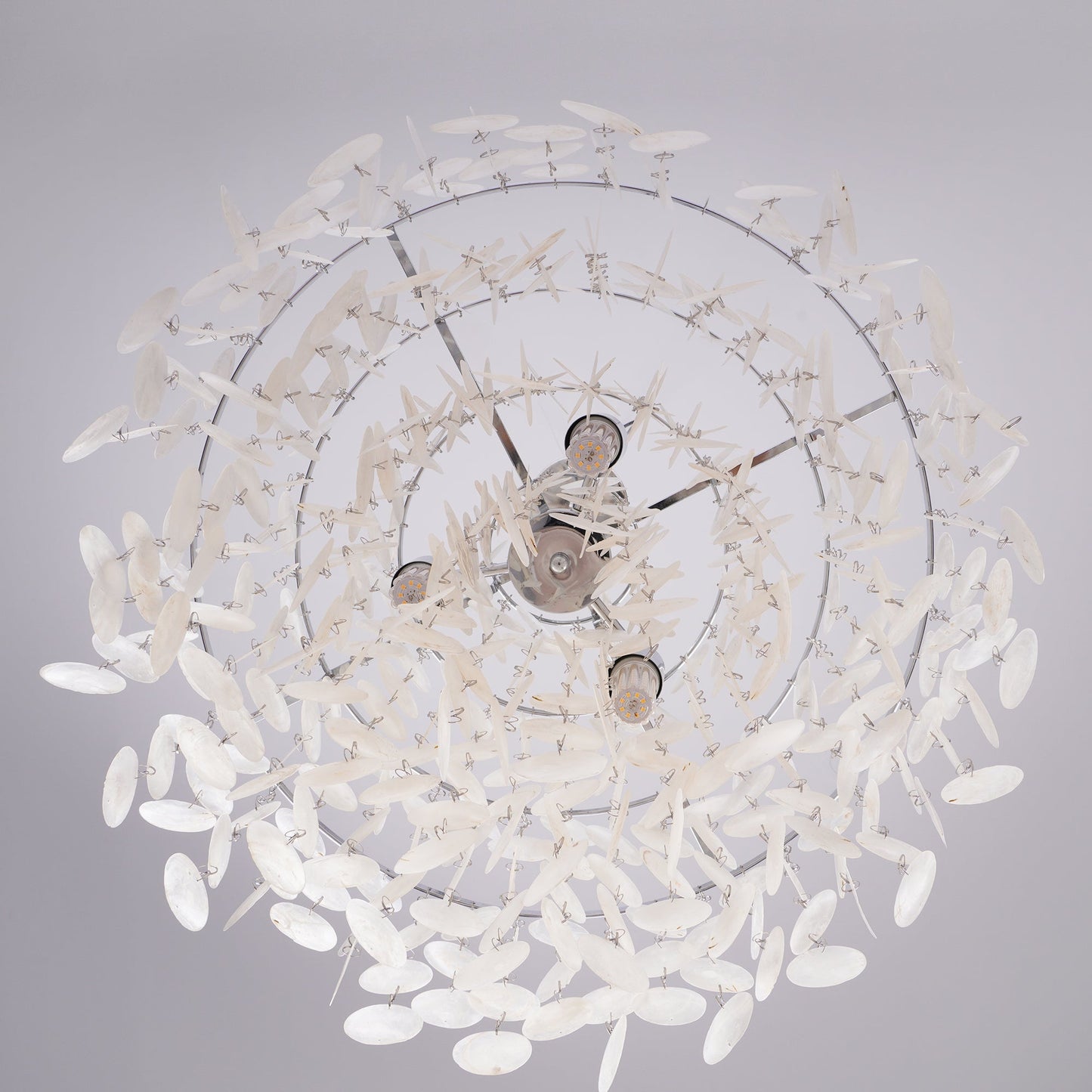 Seashells Pendant Light