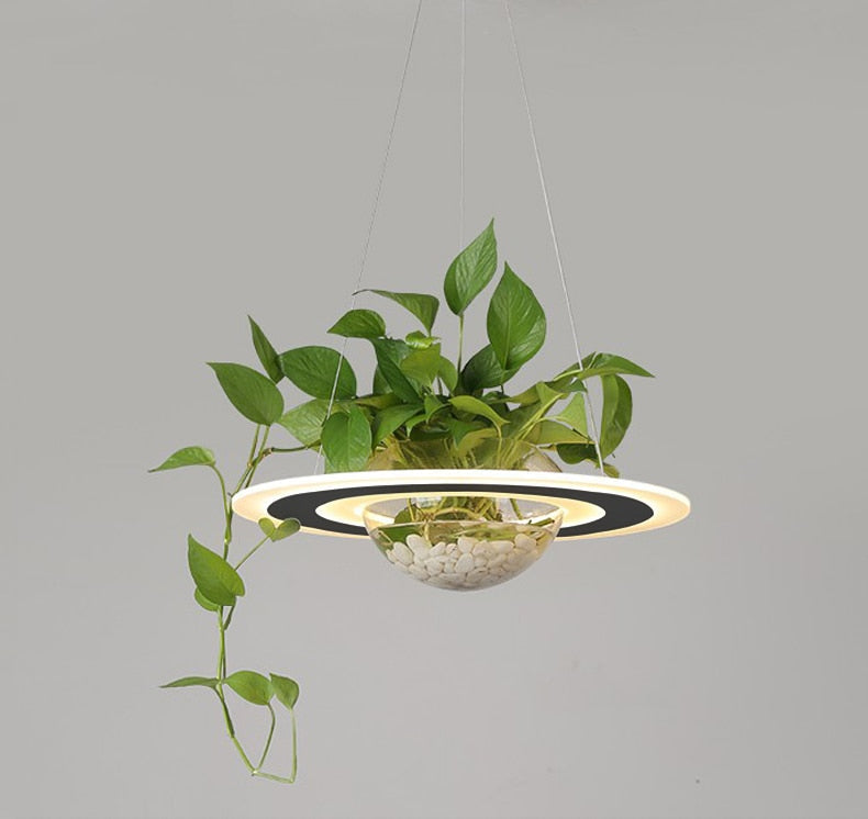 OUD Auden Modern LED Plant Pendant Planet Lamp