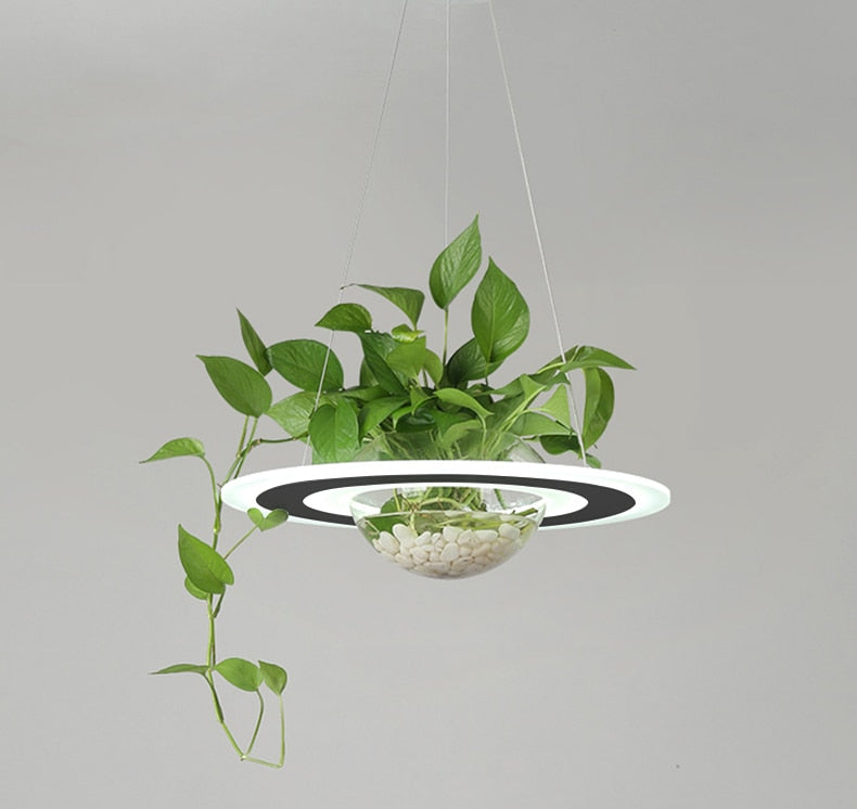 OUD Auden Modern LED Plant Pendant Planet Lamp